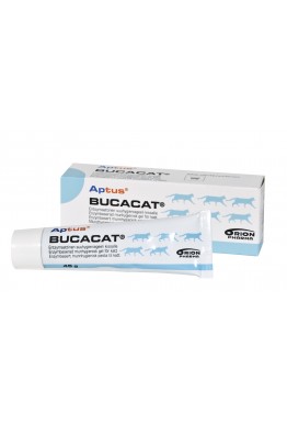  APTUS Bucacat enzymbasert munnhygienisk pasta 45 g 