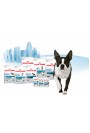 Royal Canin Urban Life - Adult Small Dog 1.5kg