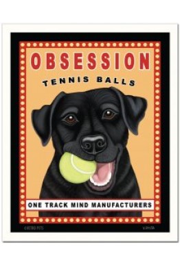 Labrador kort - Tennis Ball Obsession sort