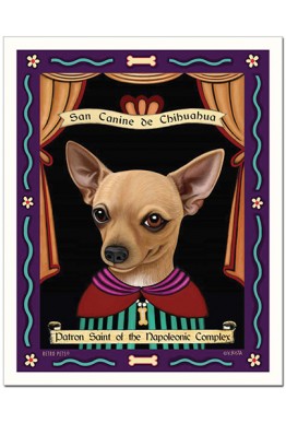 Chihuahua kort - Saint