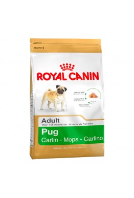 Royal Canin Pug Adult (mops) 