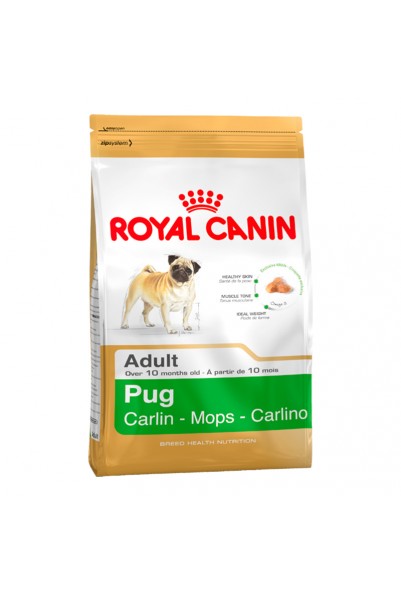 Royal Canin Pug Adult (mops) 