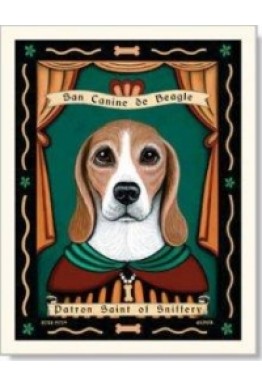 Beagle kort - Saint