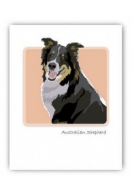 Australian sheperd kort