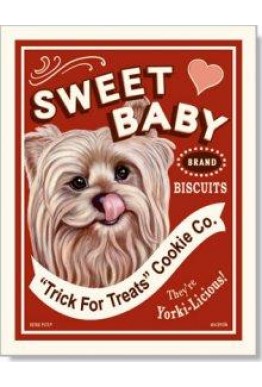 Yorkshire Terrier kort - Sweet Baby